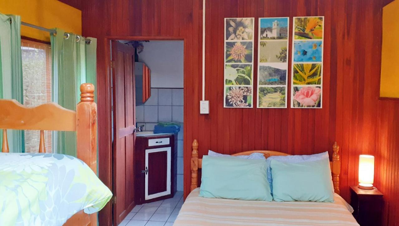 Montana Linda Guest House Orosí Dış mekan fotoğraf