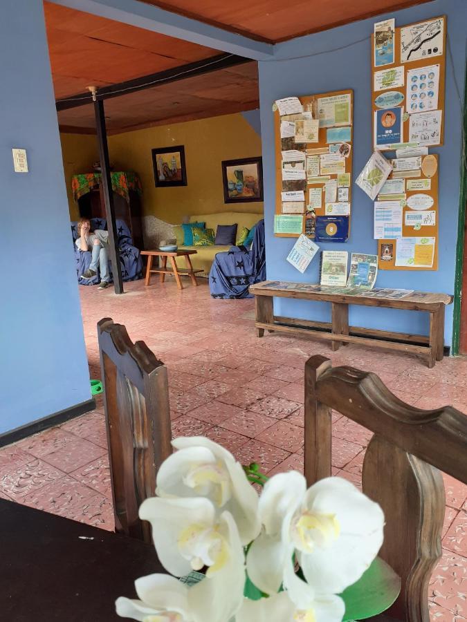 Montana Linda Guest House Orosí Dış mekan fotoğraf