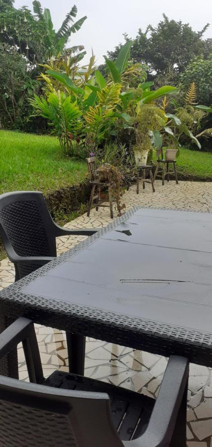 Montana Linda Guest House Orosí Dış mekan fotoğraf
