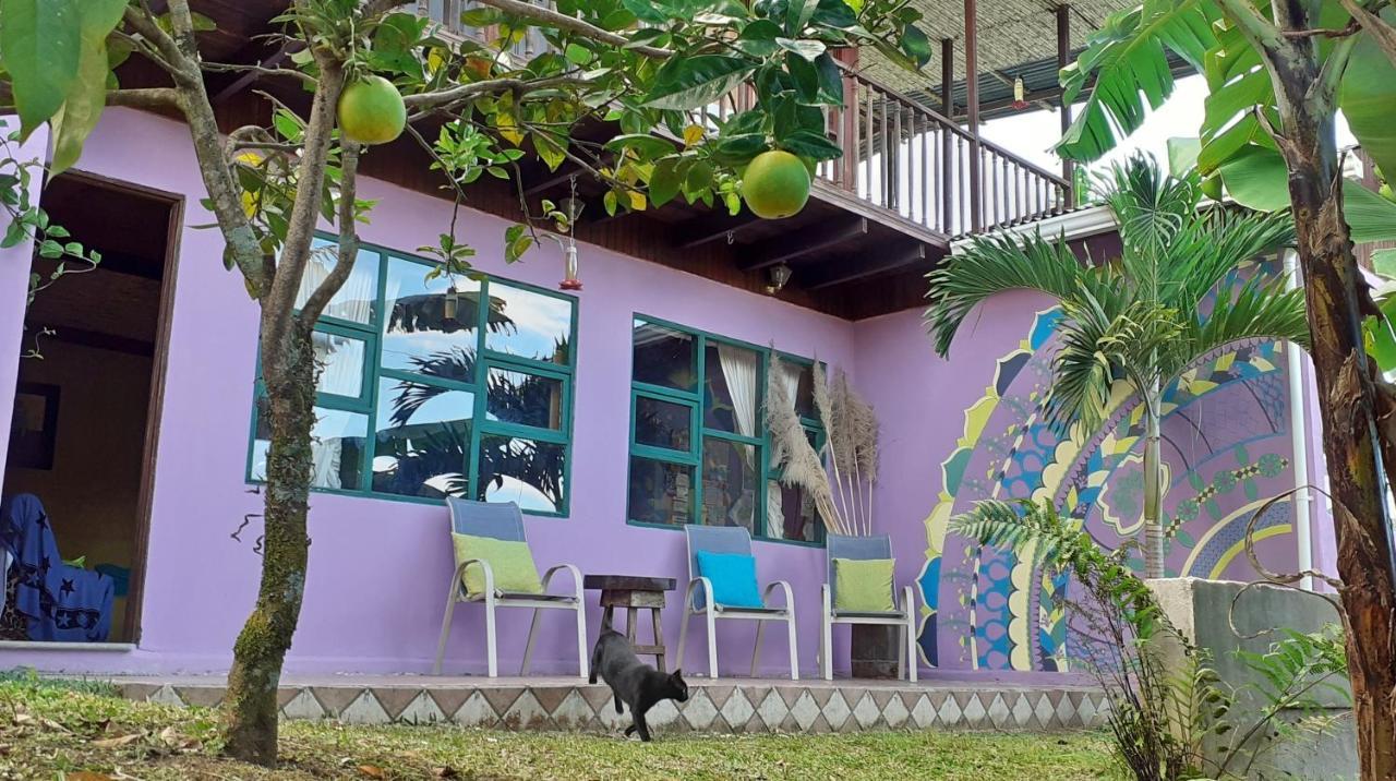 Montana Linda Guest House Orosí Dış mekan fotoğraf