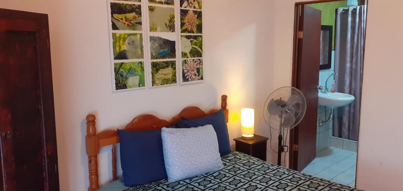 Montana Linda Guest House Orosí Dış mekan fotoğraf